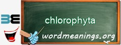 WordMeaning blackboard for chlorophyta